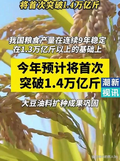 新疆持续推动“增产增仓增储” 2024年粮食收购量创新高