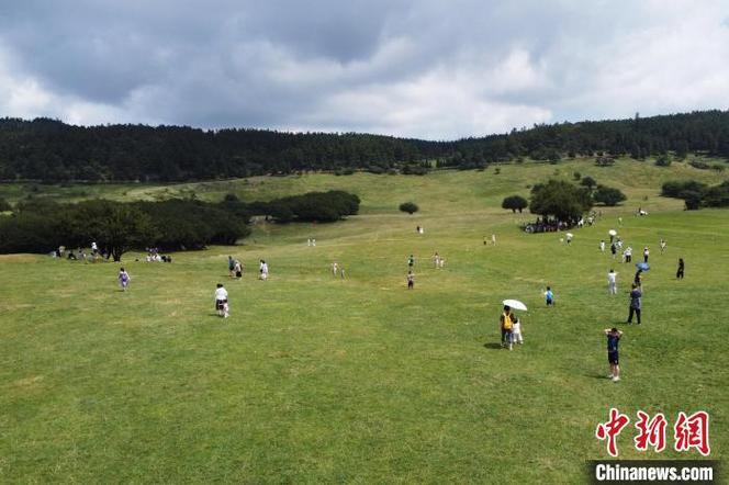 高温天气带热“避暑游” 重庆仙女山景区成避暑胜地