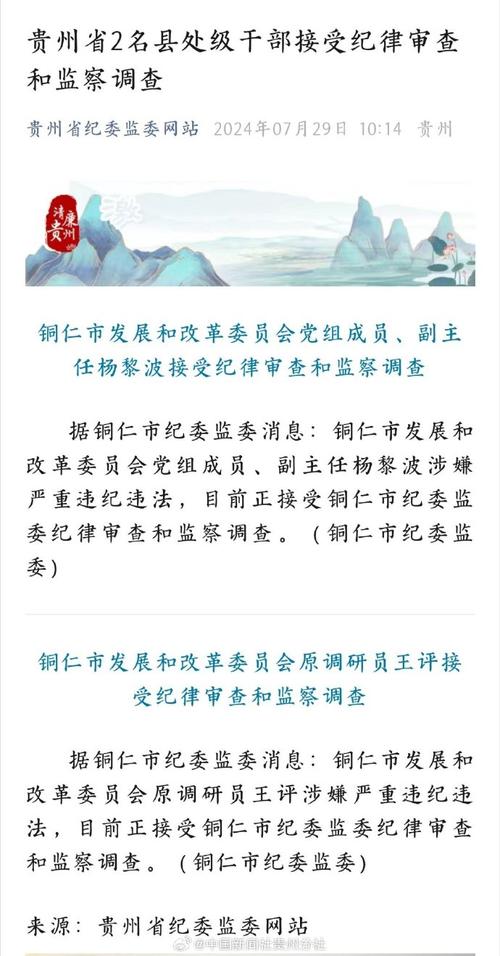 铜仁市发展和改革委员会党组成员、副主任杨黎波接受纪律审查和监察调查