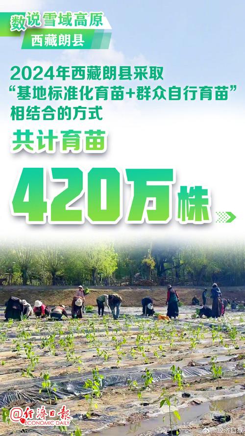 西藏持续发展产业、改善民生、守护生态携手共建幸福家园