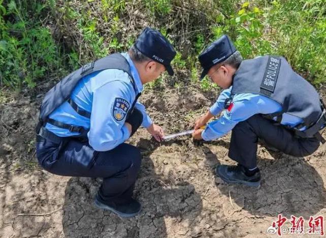 黑龙江抚远：耕地内出现野生黑熊