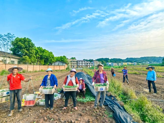 湖南新田发展特色种养殖产业振兴乡村