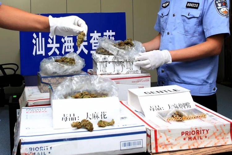 海关缉私部门破获一起走私毒品案 查获大麻烟油、烟叶