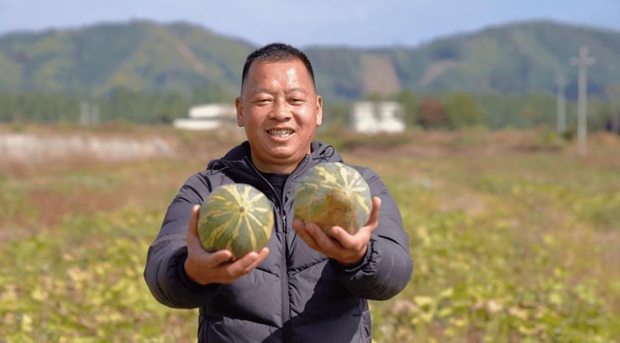 湖南新田壮大水果产业  趟出甜蜜增收致富路