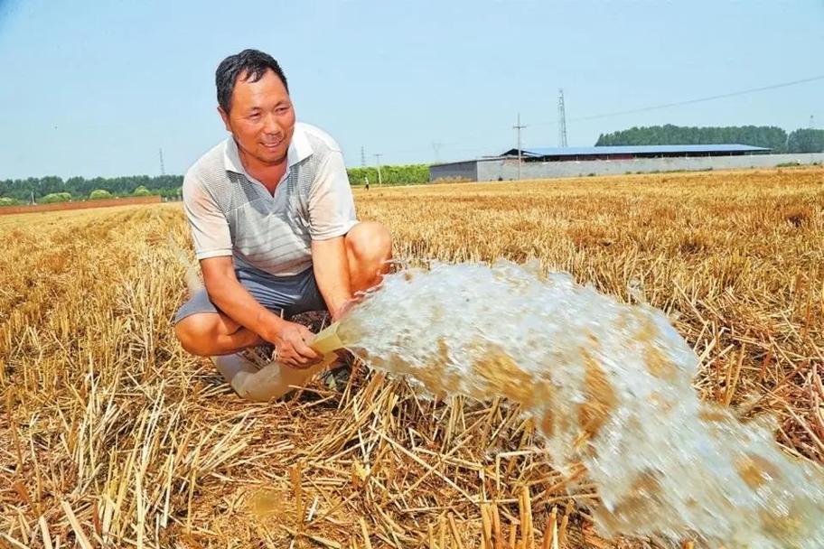 抗旱补墒保秋粮 多地战高温稳生产保民生_1