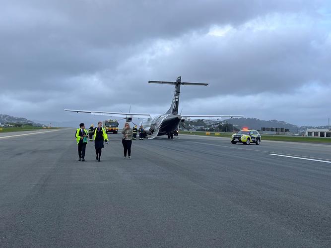 新西兰航空一架航班在起飞时疑似遭遇鸟击而中止飞行