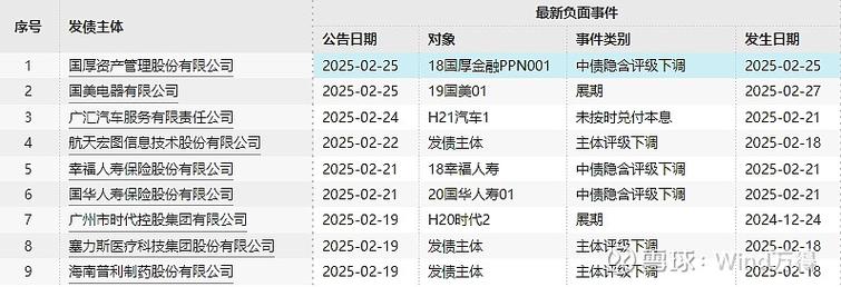 国际金融协会预计熊猫债将继续大幅增长 其余额已超日本武士债