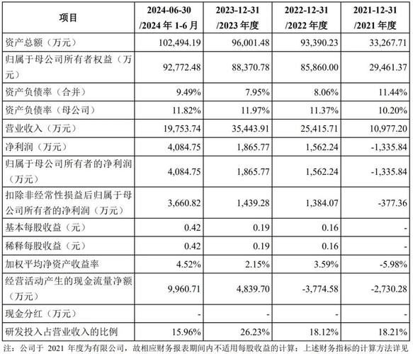 科创板第一家！盛美上海发布2024年度“成绩单”，营收同比增长44.48%