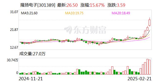 隆扬电子：筹划重大资产重组