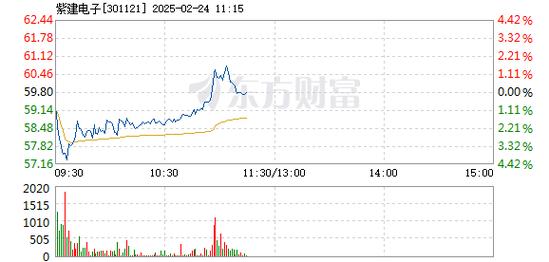 紫建电子2月26日快速回调