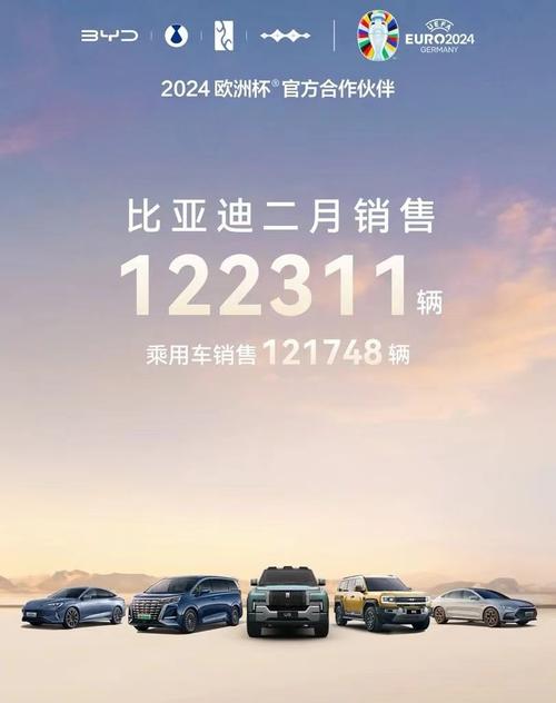 比亚迪汽车：2月份销售322846辆，同比增长164%_1