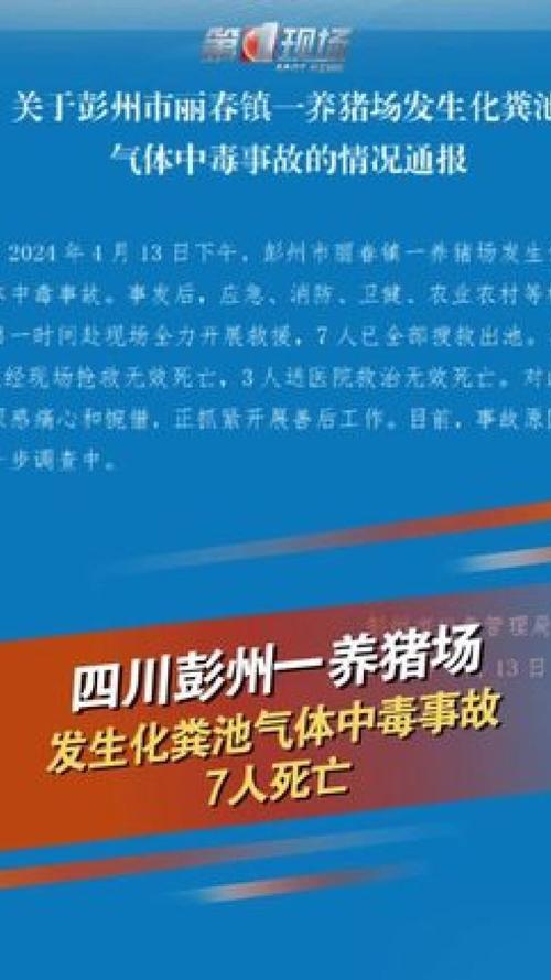 四川彭州一养猪场发生化粪池气体中毒事故 7人死亡