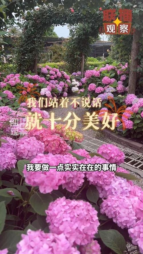 联播观察丨 一年卖花2个亿，她是如何做到的？