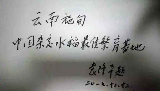 追忆袁隆平｜这个地方曾获他亲笔题字 “中国再生稻之乡”