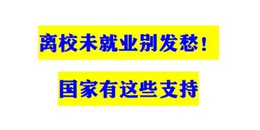 我国从六方面集中帮扶未就业高校毕业生