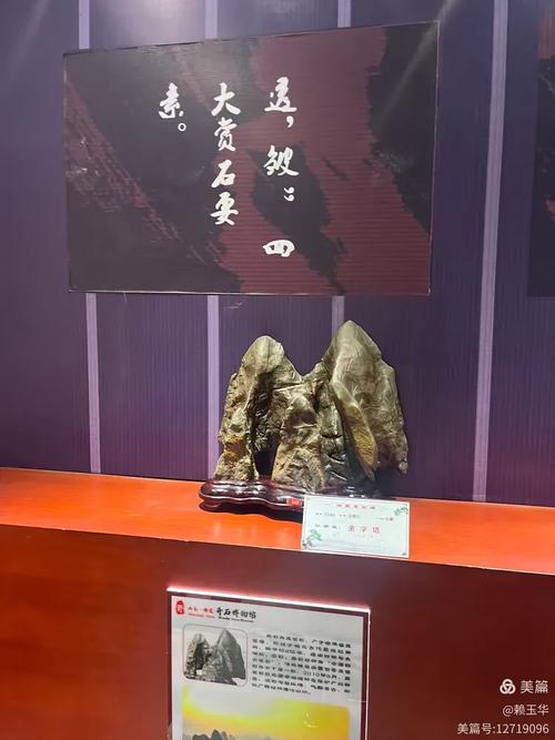 “奇石展”亮相武汉园博园，市民可免费参观至23日