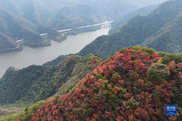 3.5亿年前，秦岭是海洋！听地质专家解密“沧海桑田”