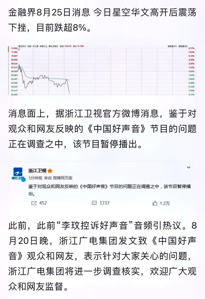 浙江卫视：暂停播出《中国好声音》