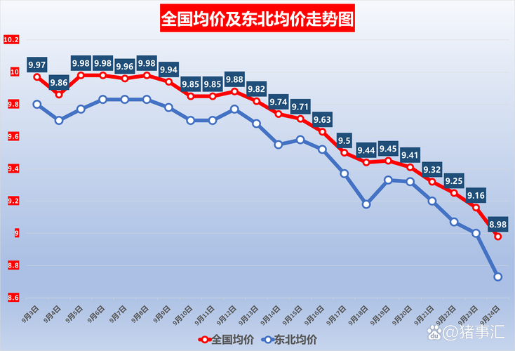 「机会挖掘」机构称猪价易涨难跌 看好上行驱动力